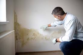 Best Mold Damage Restoration  in USA